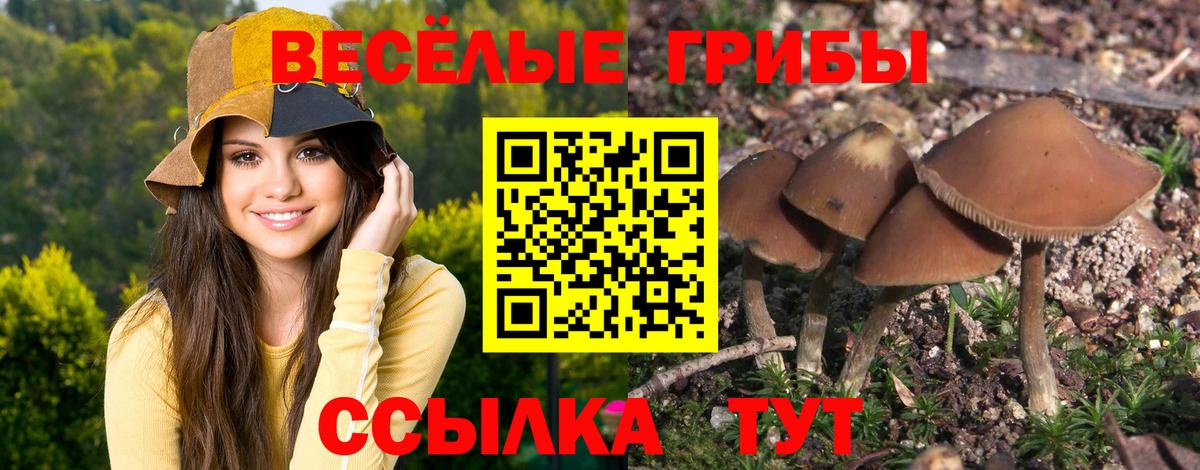 Галлюциногенные грибы мицелий  Вход с VPN  Сокол 