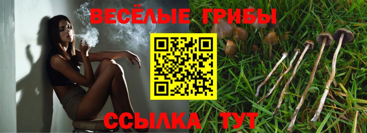 Галлюциногенные грибы ЛСД Сокол