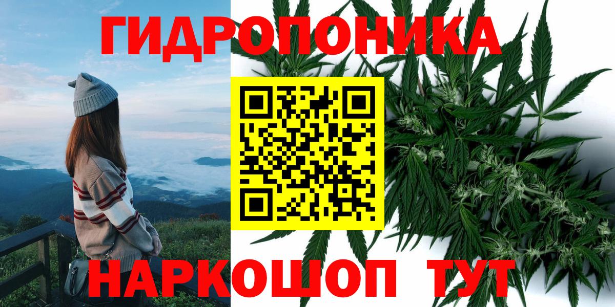 Канабис THC 21%  Вход с VPN  Бошки марихуана планчик  Сокол  Конопля сатива  Канабис сатива 